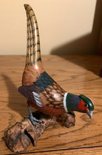 Ring neck pheasant for sale  Mankato