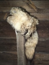 Coyote fur hat for sale  Weippe