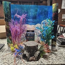 Lot aquatic fish for sale  Middleburg