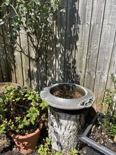 large indoor plant pots for sale large indoor plant pots for sale DUNSTABLE