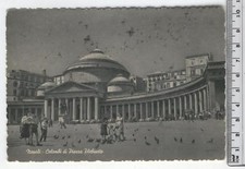 Campania napoli colombi usato  Italia