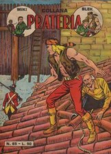 Collana prateria dardo usato Collana prateria dardo usato  Villar Focchiardo