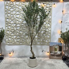 Cox cox faux for sale Cox cox faux for sale  TIPTON