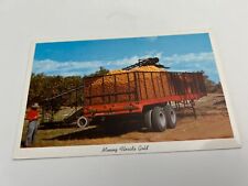 Mining florida gold for sale  College Grove