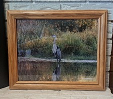 Framed picture blue for sale  Broken Arrow