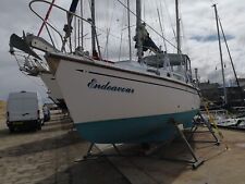 Macwester pelagian sailing for sale  LOSSIEMOUTH