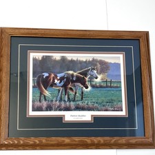 Cynthie fisher pasture for sale  Henderson