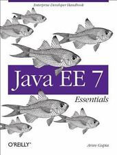 Java essentials enterprise for sale  Aurora
