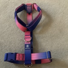 Spark paws dog for sale  BURGESS HILL