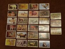 dandy gum cards animals for sale  ALCESTER