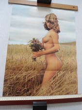 Wandposter aktfoto sommer gebraucht kaufen  Magdeburg