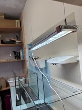 aquarium glasbecken gebraucht kaufen aquarium glasbecken gebraucht kaufen Gieboldehausen