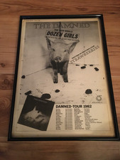 Damned dozen girls for sale  PETERBOROUGH