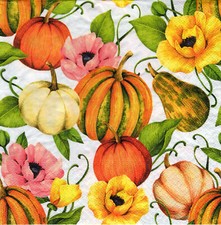 Servietten herbst kürbisse gebraucht kaufen Servietten herbst kürbisse gebraucht kaufen  Erfurt