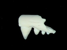 Permian reptile jaw for sale  WAKEFIELD