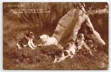 Rppc camping adorable for sale  Scotland