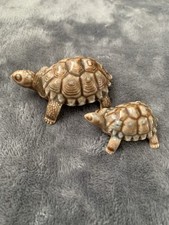 Whimsies wade tortoises for sale  WITHERNSEA