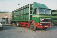 Photo erf livestock for sale  EGHAM