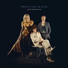 Twentytwo blue sunflower usato  Schio