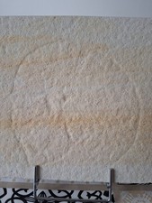 Schöne qualle solnhofen gebraucht kaufen  Xanten
