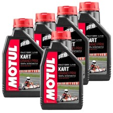 Litri olio motul usato  Italia