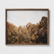 Golden forest framed for sale  USA