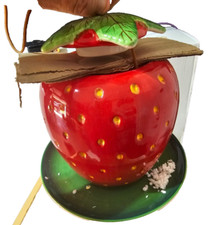Ceramic strawberry hanging for sale  Powder Springs