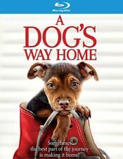 Dog way home for sale  Glenmoore