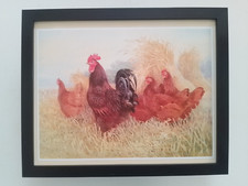 Gordon beningfield print for sale  YORK