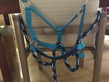Halfter set cob gebraucht kaufen  Berlin
