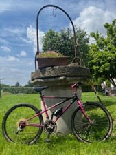 Bianchi ragno thomisus usato  Villadose