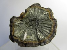 Pyritsonne gebraucht kaufen  Dinslaken