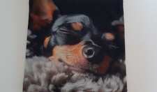 schlafender hund gebraucht kaufen schlafender hund gebraucht kaufen Augsburg