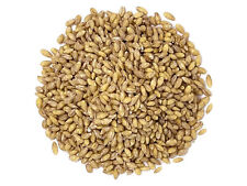 Organic hulled barley for sale  Brooklyn