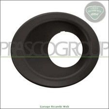 Lr7181250 fendinebbia prasco usato  Altamura