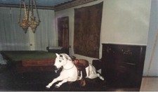 Biliardo antico usato  Treviso