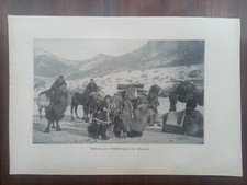 Trampeltier mongolei wildpferd gebraucht kaufen  Münster