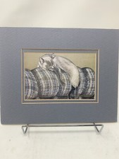 Contempory cats janet for sale  Vian