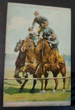 Pyramid black horse for sale  Binghamton