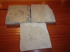 Carreau ancien terre d'occasion Carreau ancien terre d'occasion  Vernantes