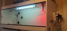 5ft retile vivarium for sale  SWINDON