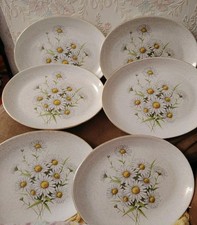 Kernewek pottery daisy for sale  PLYMOUTH