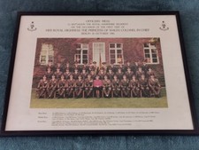 Princess diana military for sale  FRINTON-ON-SEA