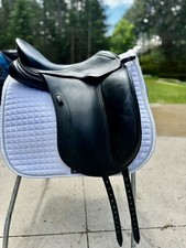 Schleese jes elite for sale  Escanaba