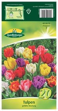 Tulpen gefüllte mischung gebraucht kaufen Tulpen gefüllte mischung gebraucht kaufen  Quedlinburg