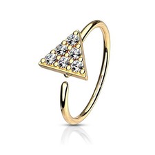 Piercing nez anneau d'occasion  Paris XV