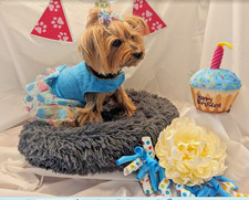 Luxury handmade dog for sale  Pensacola