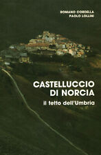 Castelnuovo norcia. tetto usato  Cambiago