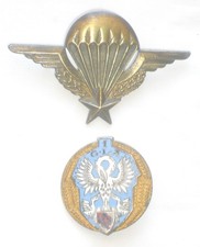 Insignes brevet parachutiste d'occasion  Lorient