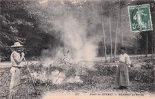 Foret senart bucherons d'occasion  France